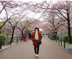 Du lịch Nhật bản mùa hoa Anh đào 2015